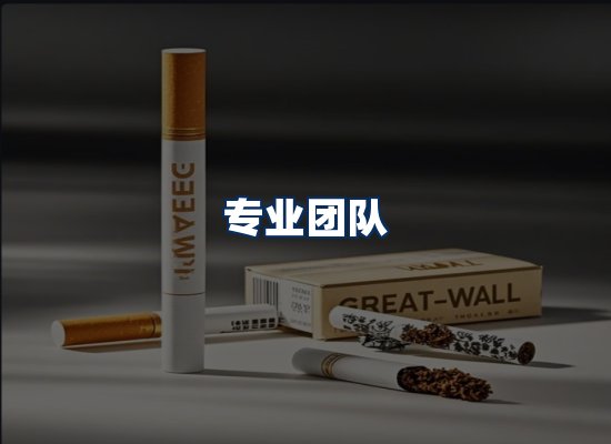 专业团队